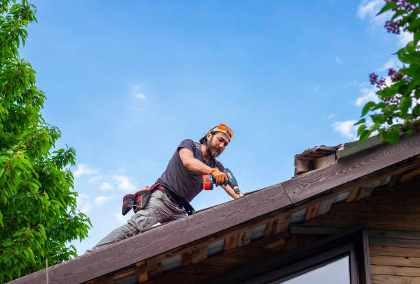 Best Metal Roofing Installation  in Lusk, WY